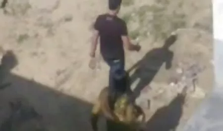 אנסטסיה סקססס לצפיה חינם פי.
