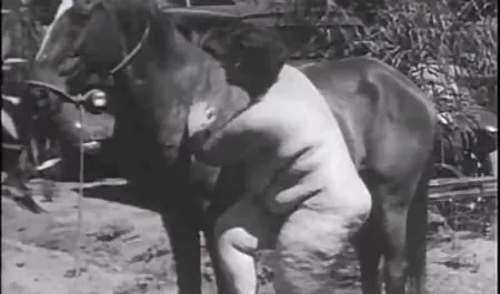 אוויטהworld. kgm סרטי פורנו לצפייה ישירה בחינם