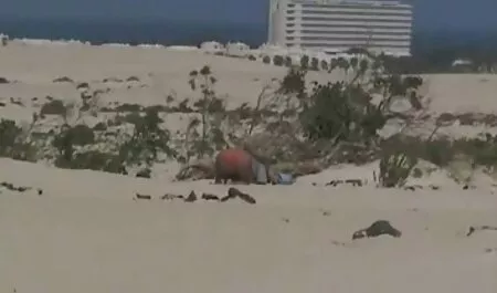 קרח סרטוני סקס לצפיה חינם