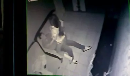 שאלאנה סרטים לצפייה ישירה סק מארי