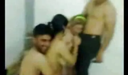 - - צ סקסלצפיה ' לסי הצרפתית