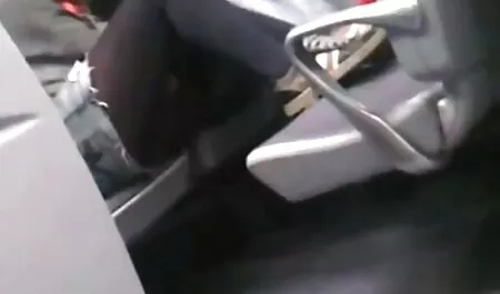 פטריס סקסלצפיה הוליס