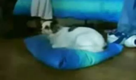 היילי. סרטים לצפייה ישירה בחינם סקס