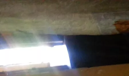 האנלי? סרטי פורנו לצפייה חינם