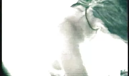 מגב סרטי פורנו לצפיה ישירה חינם